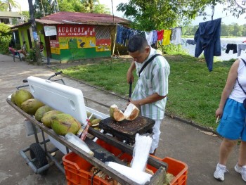 Kokosnuss Costa Rica